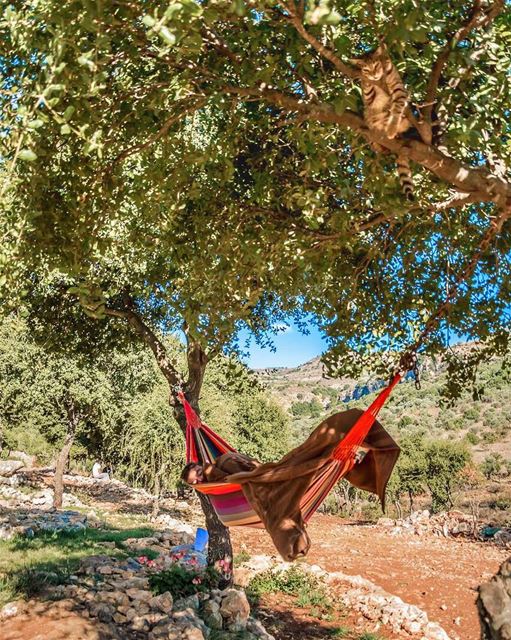 Can you spot the CAT 🐱 ??? ... SkyRockCamping with  sanelebanon ...�