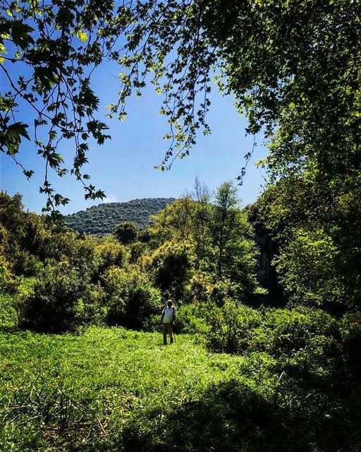 Cannot find more attractive than those 2 colors 💙💚 myhubby naturelovers... (Naher El jouz)