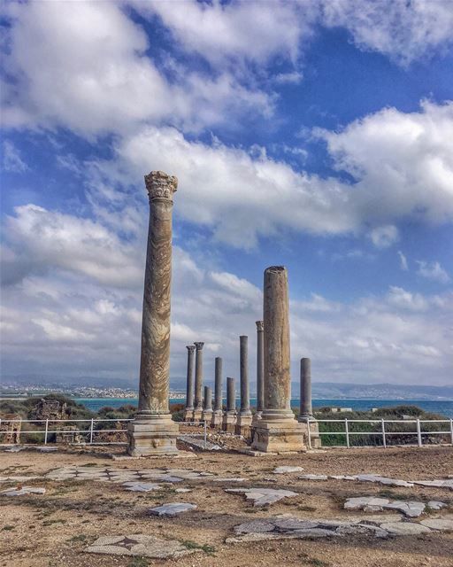 Captive Audiences ....  nature historicalcity  neverstopexploring... (Tyre, Lebanon)