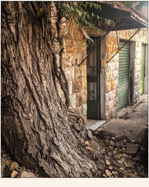 Capture of the essence of a Lebanese  village  tree  house  door  oldhouse...