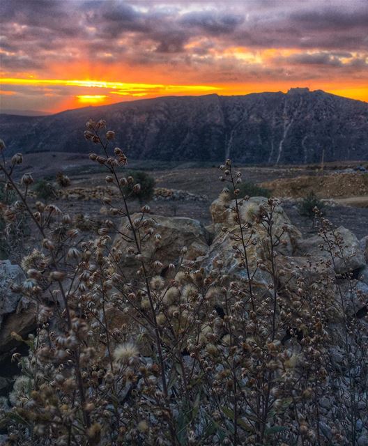 Capture the beauty of every moment & live it as if it were a blessing 🌅🙏... (El Qlaïaâ, Al Janub, Lebanon)