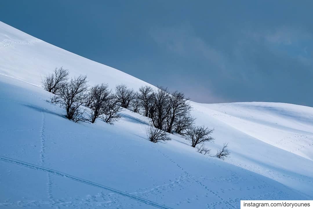 Capturing the magic of winter 📷❄... winterlandscape  snow  snowhike ... (Sannin, Mont-Liban, Lebanon)
