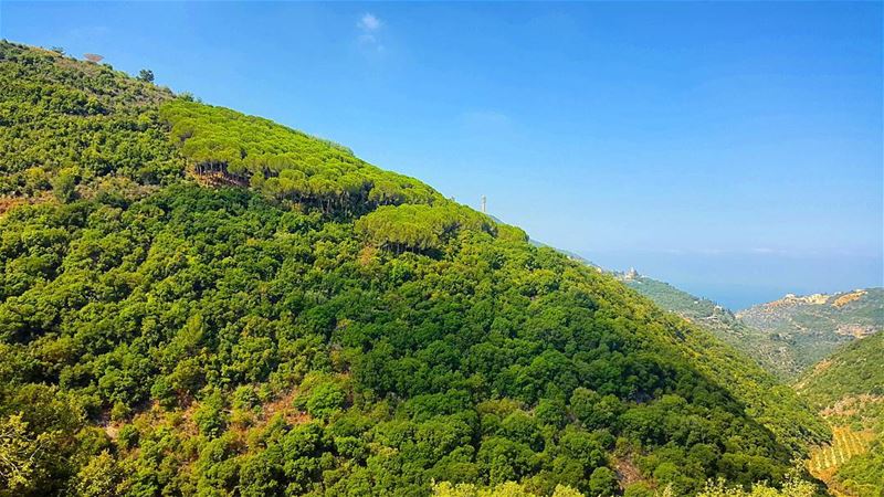 Carribean vibe.   Lebanon  pine  oak  sky  clouds  liban  nature  scene ... (St Rafqa-Jrebta)