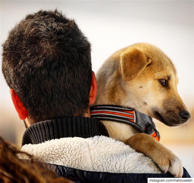 Carrying his baby .  perro  dog  friends ... (Faraya, Mont-Liban, Lebanon)