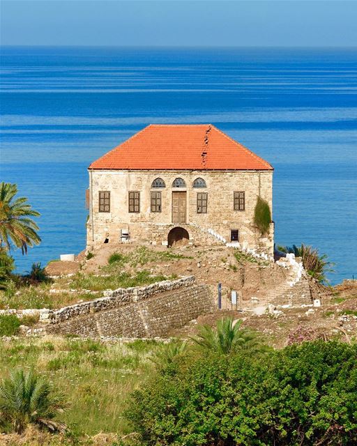 Cartão postal de Byblos para começar o dia 🇱🇧 Postcard from Byblos to... (Byblos, Lebanon)