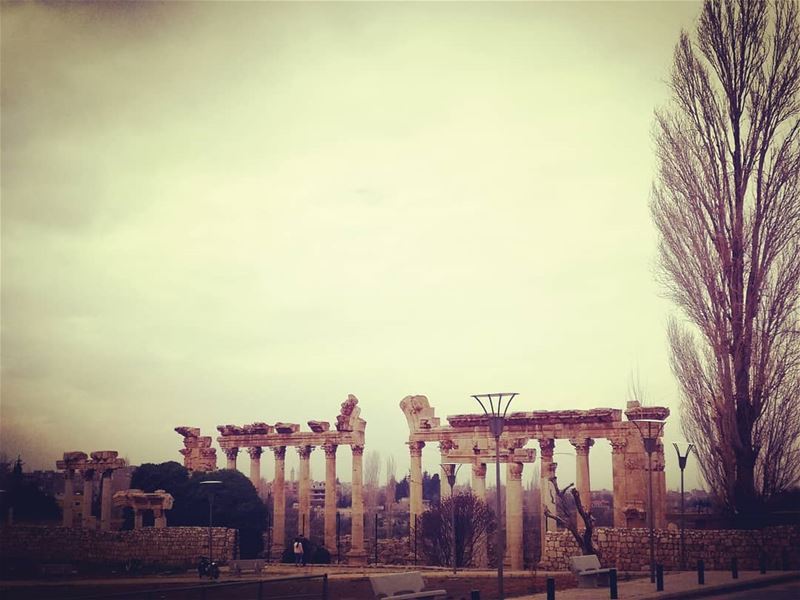  castles baalbeck old history photography lebanonphotography... (Ba`labakk, Lebanon)