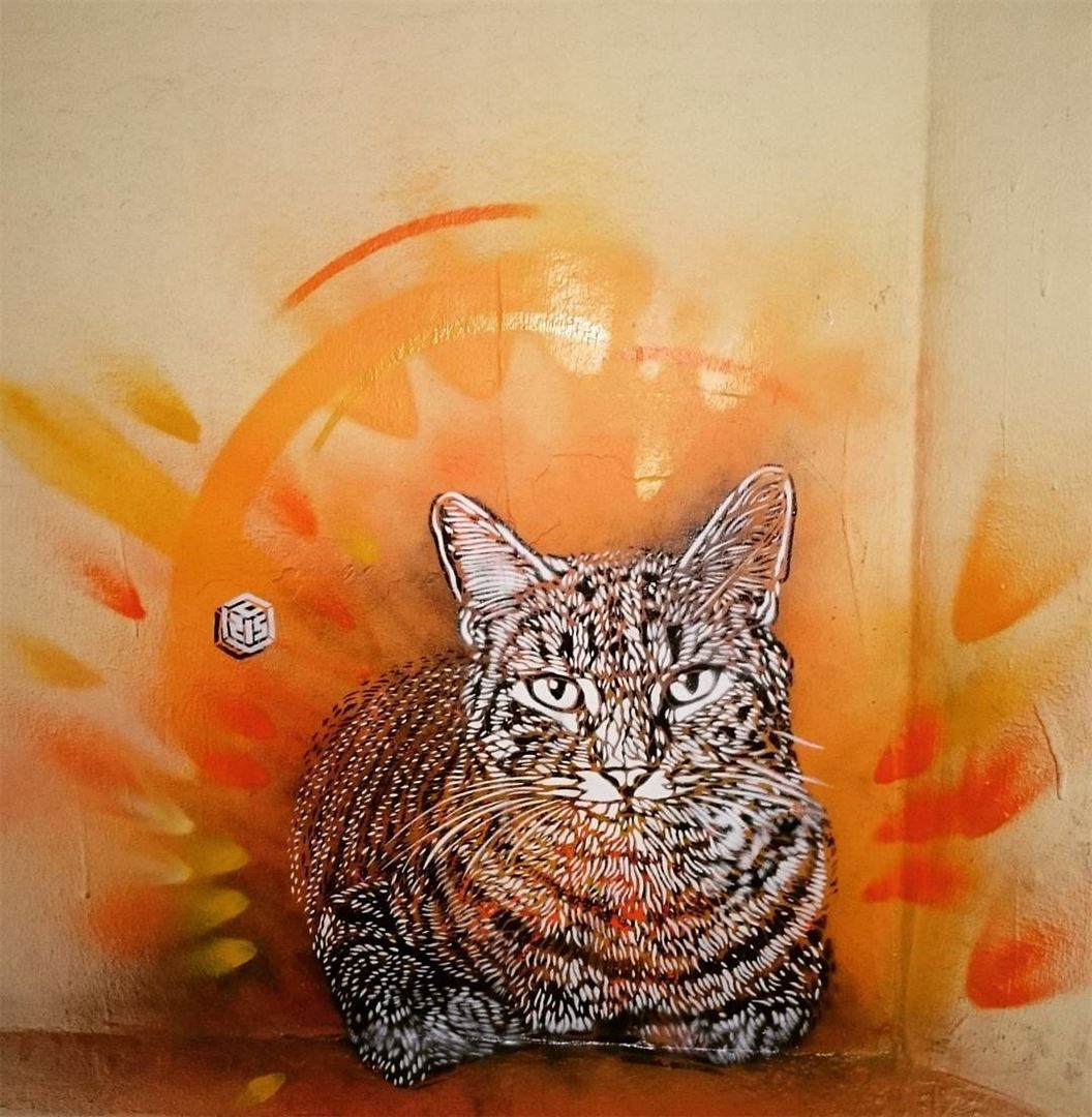 Cat painting in gemayeh- Beirut 🐈🐱 lebanon  beirut  beirute  gemayze ... (Mar mikheal)