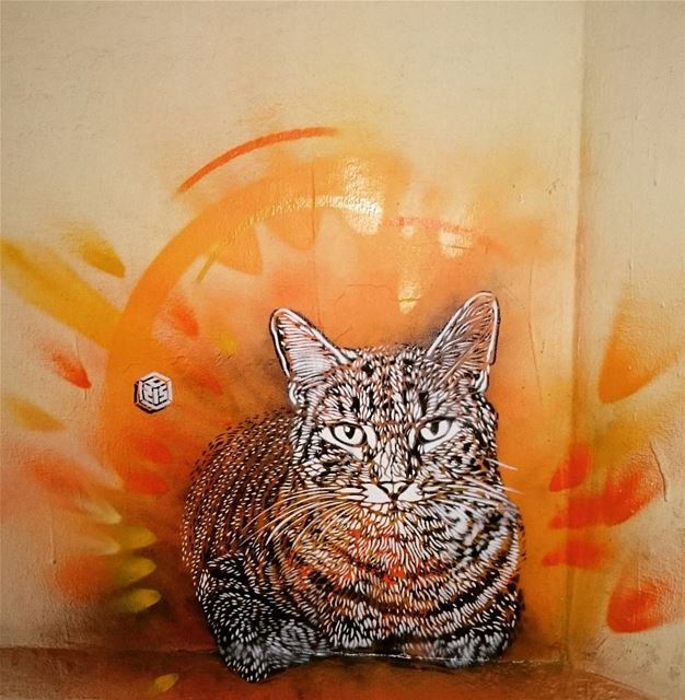 Cat painting in gemayeh- Beirut 🐈🐱 lebanon  beirut  beirute  gemayze ... (Mar mikheal)