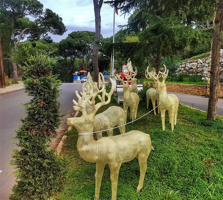 Caught Santa resting during the day 🎄🔔 santa  christmas  reindeer ... (Mar Chaaya Broumana)