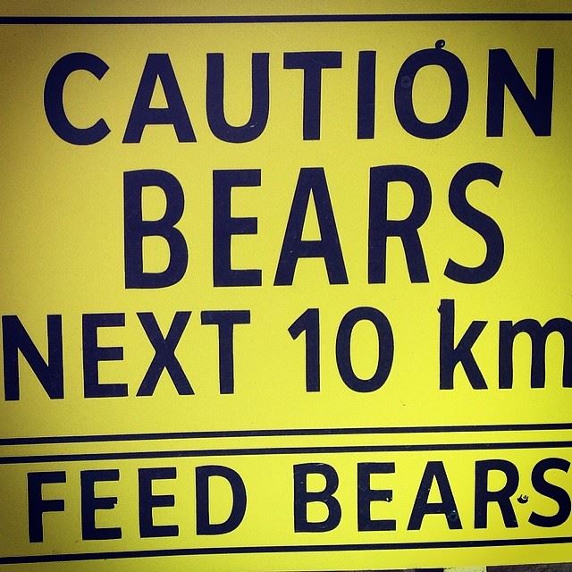  caution bears next 10 km feed bears mzar intercontinental Lebanon...