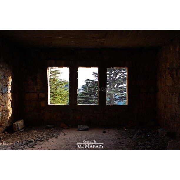  cedars  cedarsofgod  nature  windows  oldhouse  trees  livelovelebanon ...