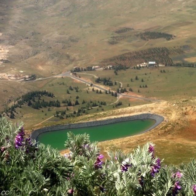  cedars  Lebanon  north  view  from  top  lebanese  photos  pics ...