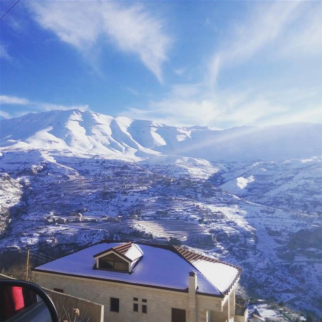  cedars lebanon snow nature кедры ливан горы (Cedars of God)