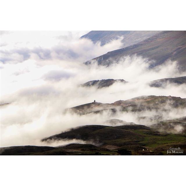  cedars  livelovecedars  cedarsofgod  clouds  cloudporn  livelovelebanon ...