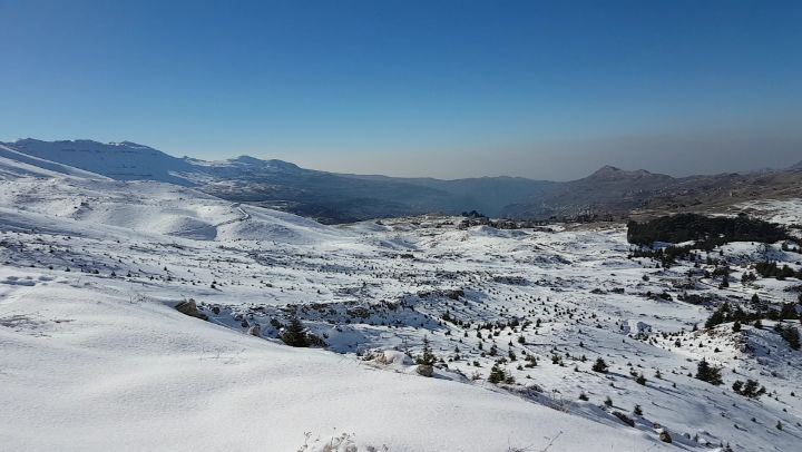 Cedars of Lebanon  cedars  snow  winter  livelovelebanon  livelovebeirut ... (Cedars of God)