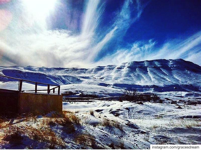 Cedars of Lebanon ❄️....... Lebanon  Beirut  Liban ... (The Cedars of Lebanon)