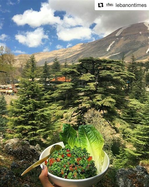 Cedars ❤🌲❤... Repost @lebanontimes (@get_repost)・・・||Collecting-Moment