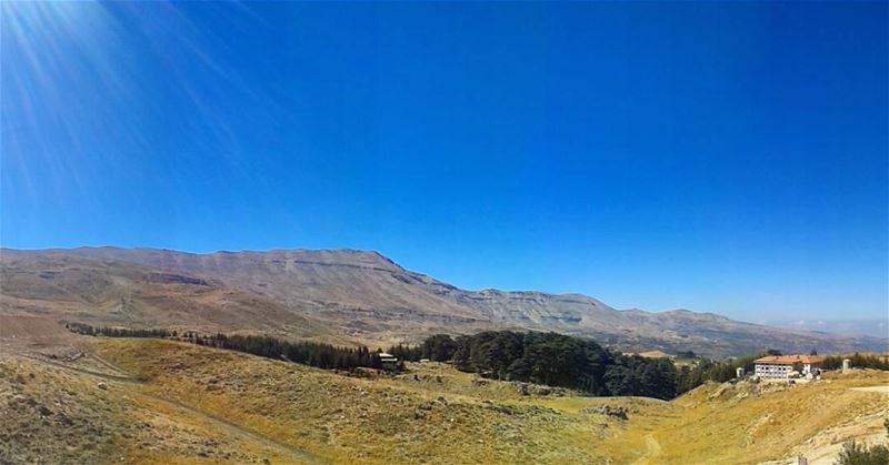  cedarsofgod  livelovecedars  vedars livelovelebanon ... (Cedars of God)