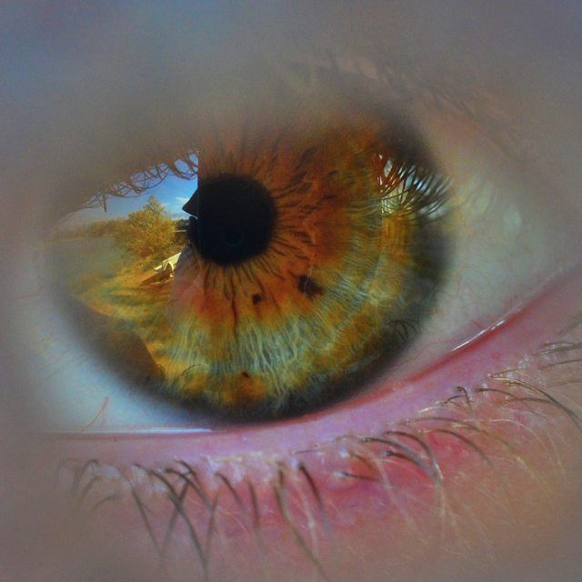 Central Heterochromia  Eye  Details  Green  Brown  CloseUp  shot  Camera ...