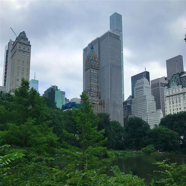 [CENTRAL PARK, NEW YORK CITY]  nyc  centralpark  usa  travel  travelgram ... (New York, Central Park)