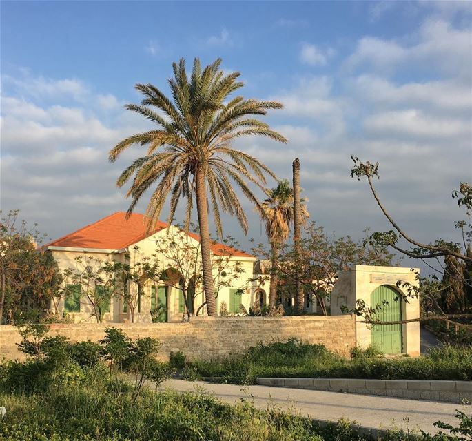 Centre d’Archeologie Sous-Marine heritage  lebanesehouse  lebanonhouses ... (Tyre, Lebanon)