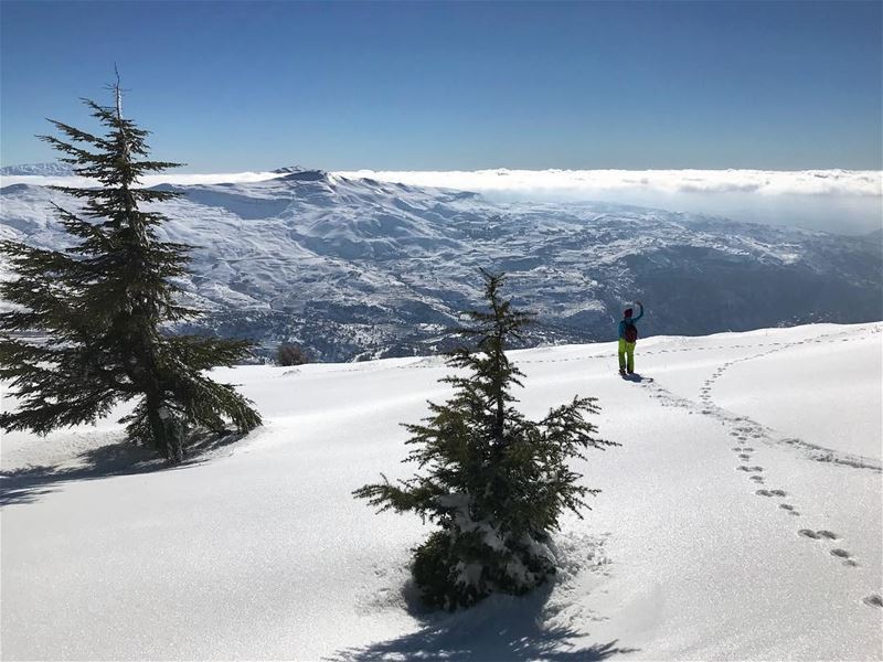 Certain choices taken in life change us inside-out and there’s no going... (Faraya, Mont-Liban, Lebanon)