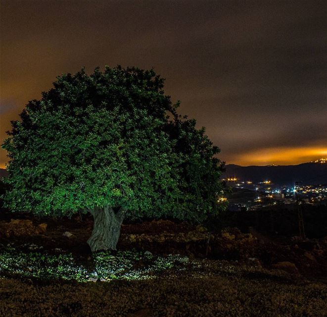 Challenge yourself with something you know You could never do And what you’ (Hoûmîne El Faouqa, Al Janub, Lebanon)