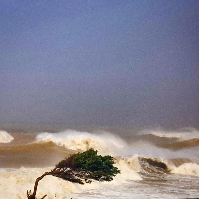 Chaotic beach today  lebanon  dbaye   livelovelebanon  lloveleb ...