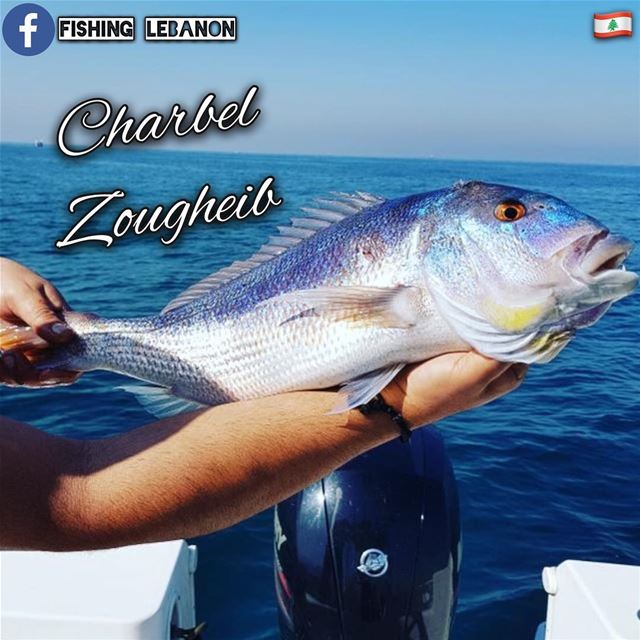 @charbel_zougheib _ @fishinglebanon - @instagramfishing @jiggingworld @what (Lebanon)