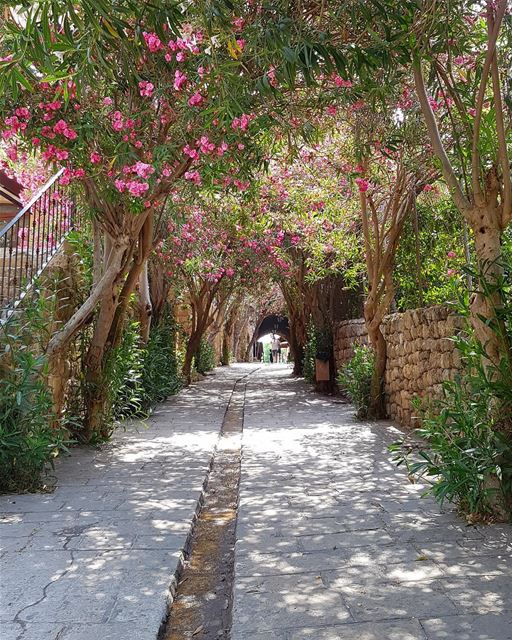 Charmosas e ao mesmo tempo enigmáticas, as vielas de Byblos são sempre... (Byblos, Lebanon)