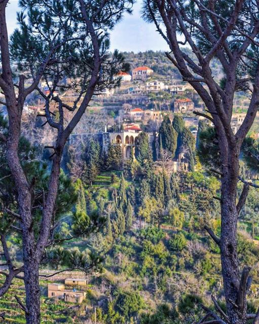 Chase away the fakeHold on to the genuineSuch a beautiful difference it... (Beit Ed-Deen, Mont-Liban, Lebanon)