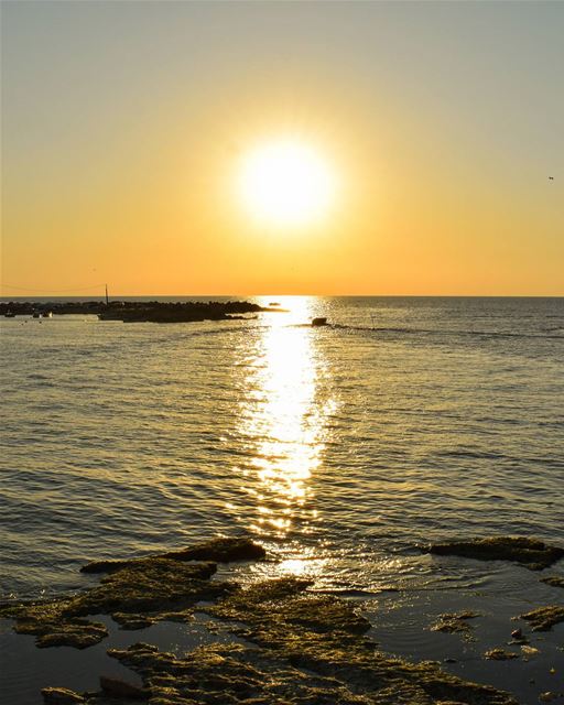 Chase the horizon 🌅  rookietographer ...... lebanon boats sunsets... (Tripoli, Lebanon)