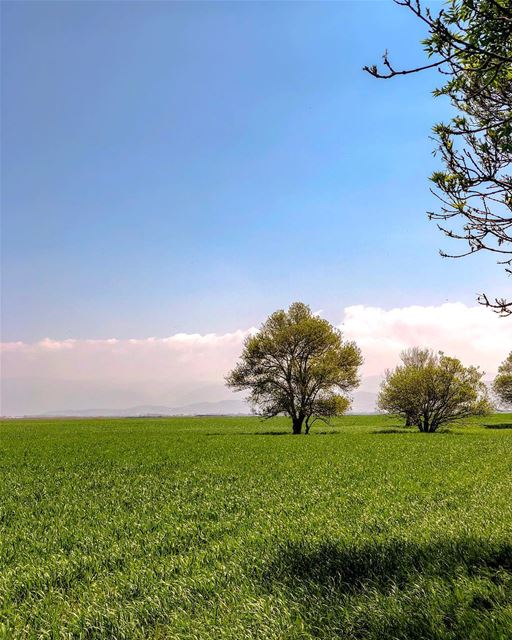 Chasing green!..... natgeoshot  natgeotravelpic  liveoutside ... (Lebanon)