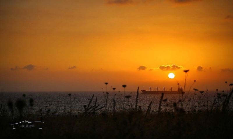 Chasing sunsets ☀☀☀ (Batroûn)