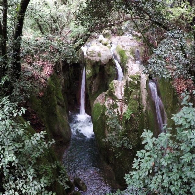  ChasingWaterfalls ... (Lebanon)