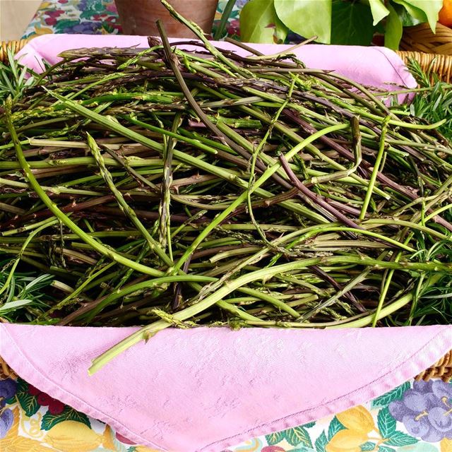 Check out the basket of wild asparagus @aliceedde These are foraged this... (Eddé Jbeil)
