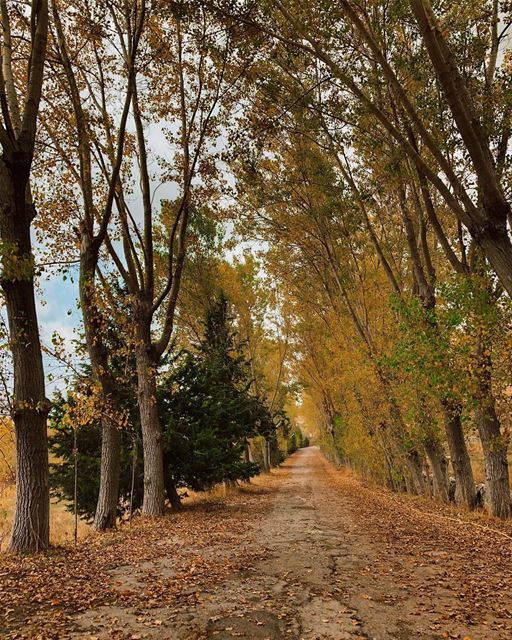 Cheers to sunny October road trips🍂.. laklouk  livelovebeirut ... (El Laklouk, Mont-Liban, Lebanon)