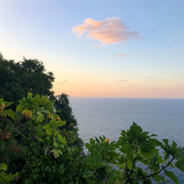  chekka  love  lebanon  lebanonspotlights  livelovelebanon  lebanontimes ... (Chekka)