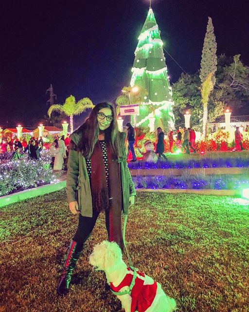 🐕 🎄... (Chekka)