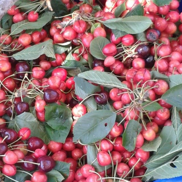 cherry cerises mountain fruit red