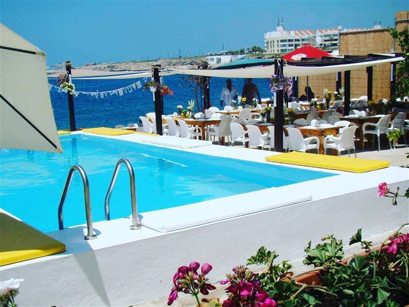  chezfouad  anfeh  anfehalkoura  ta7telri7  pool  poolside  locafish ... (Chez Fouad)