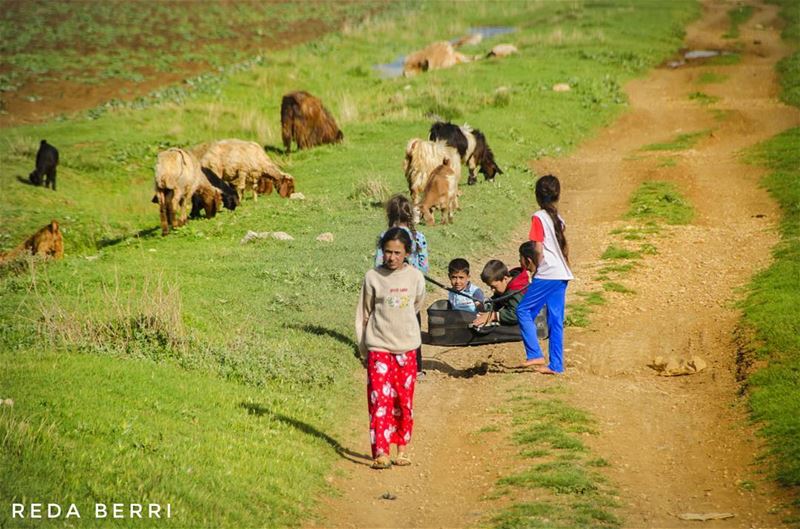 Childhood means simplicity....... child  childhood  play  beautiful ... (`Ammiq, Béqaa, Lebanon)