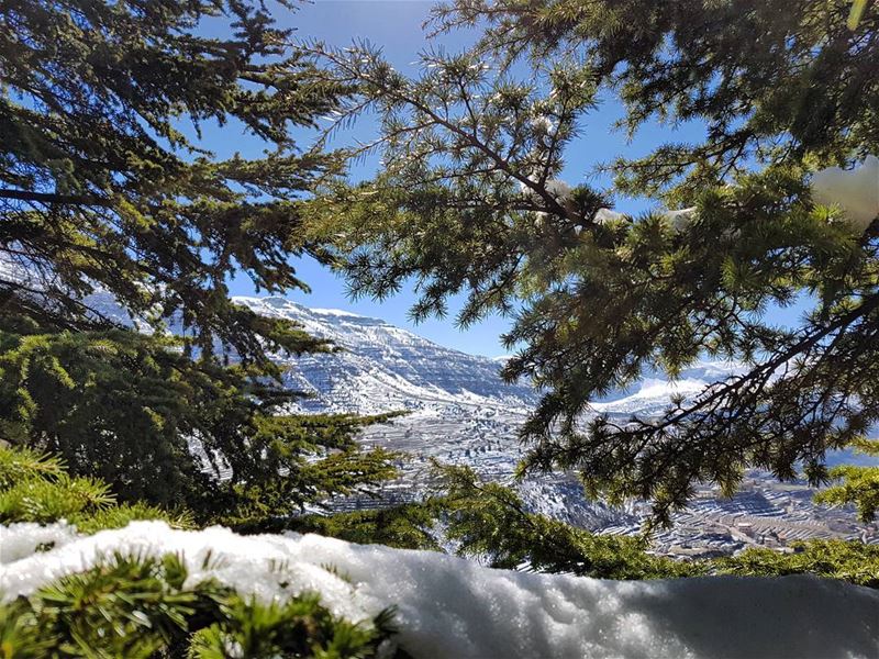 Children of winter never grow old. snow  landscape  nature  natureza ... (Saydet El Hebes)