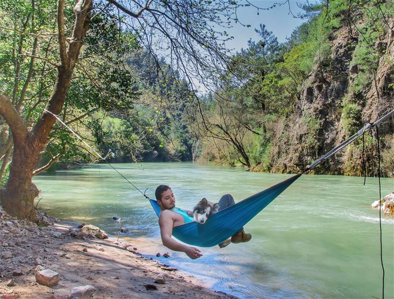 chillin 🐶.... hammock chillin dog dogs husky lake lagoon nature... (Chouwen)