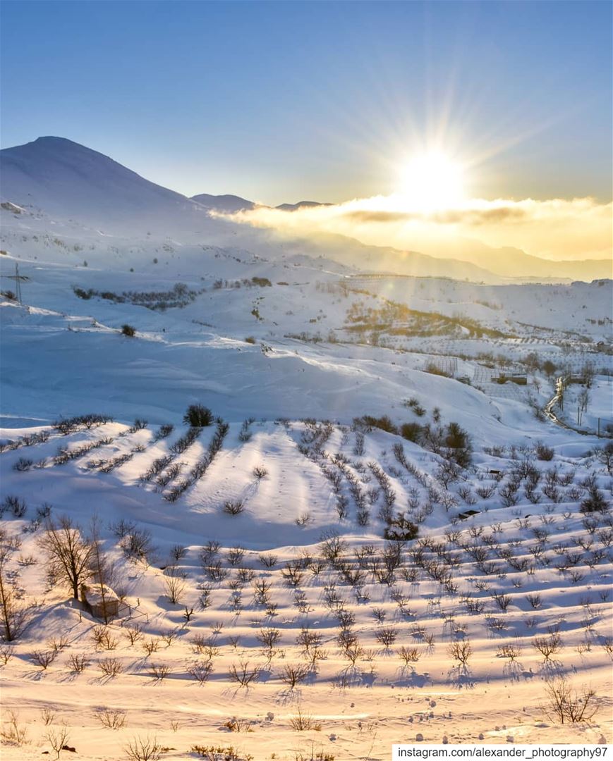 Chilly sunset ❄️☀️ - The snowy fields of Tarchich, Lebanon and falougha... (Tarchich)