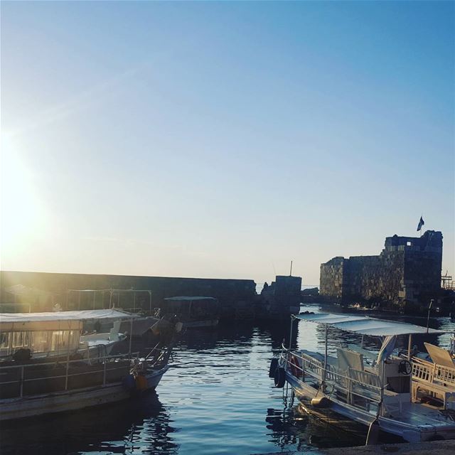 Choose your battles.... morning  sunrise  october  silence  calm  walk... (Jbeil جبيل)