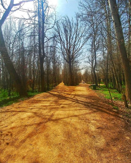 Choose your own path ! .. naturephotography  lebanon  outsider  nature ... (Deïr Taanâyel, Béqaa, Lebanon)