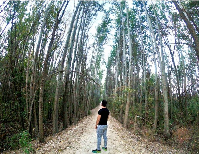 Choose your own path so you can reach lands to call your own. 🌲🌲  gopro ... (Taanayel- Bekaa)