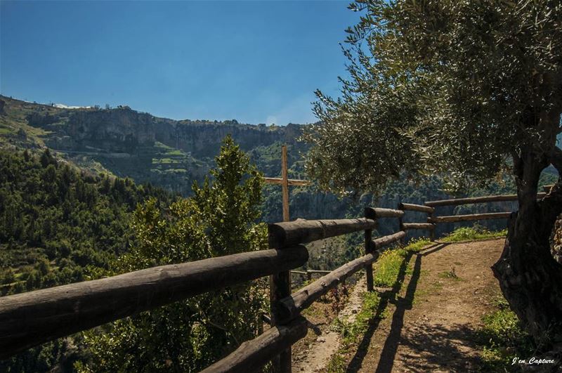 Choose your path wisely..••• lebanon  Livelovelebanon ... (Kadisha Valley)