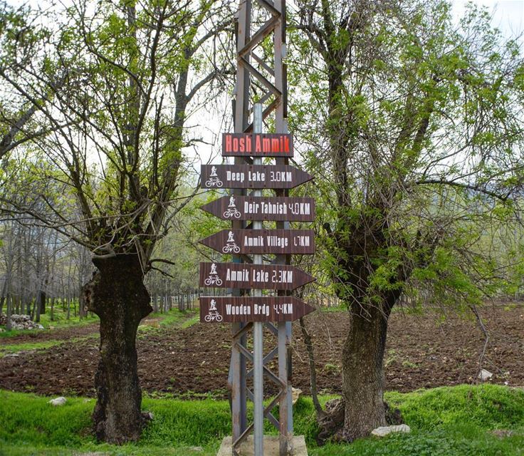 Choose your way and hit the lakes!  loves_lebanon  super_lebanon  ... (`Ammiq, Béqaa, Lebanon)